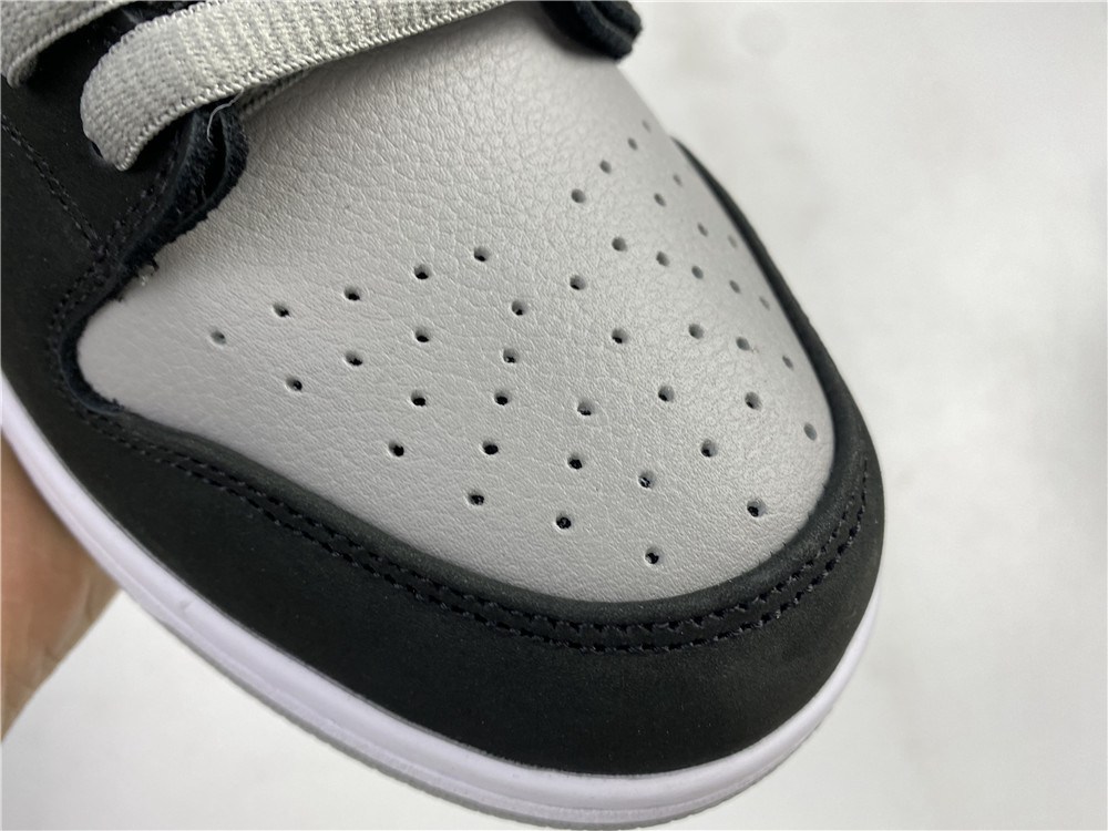 Nike Dunk SB Shadow BQ6817-007